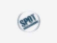 Spot Towing Service